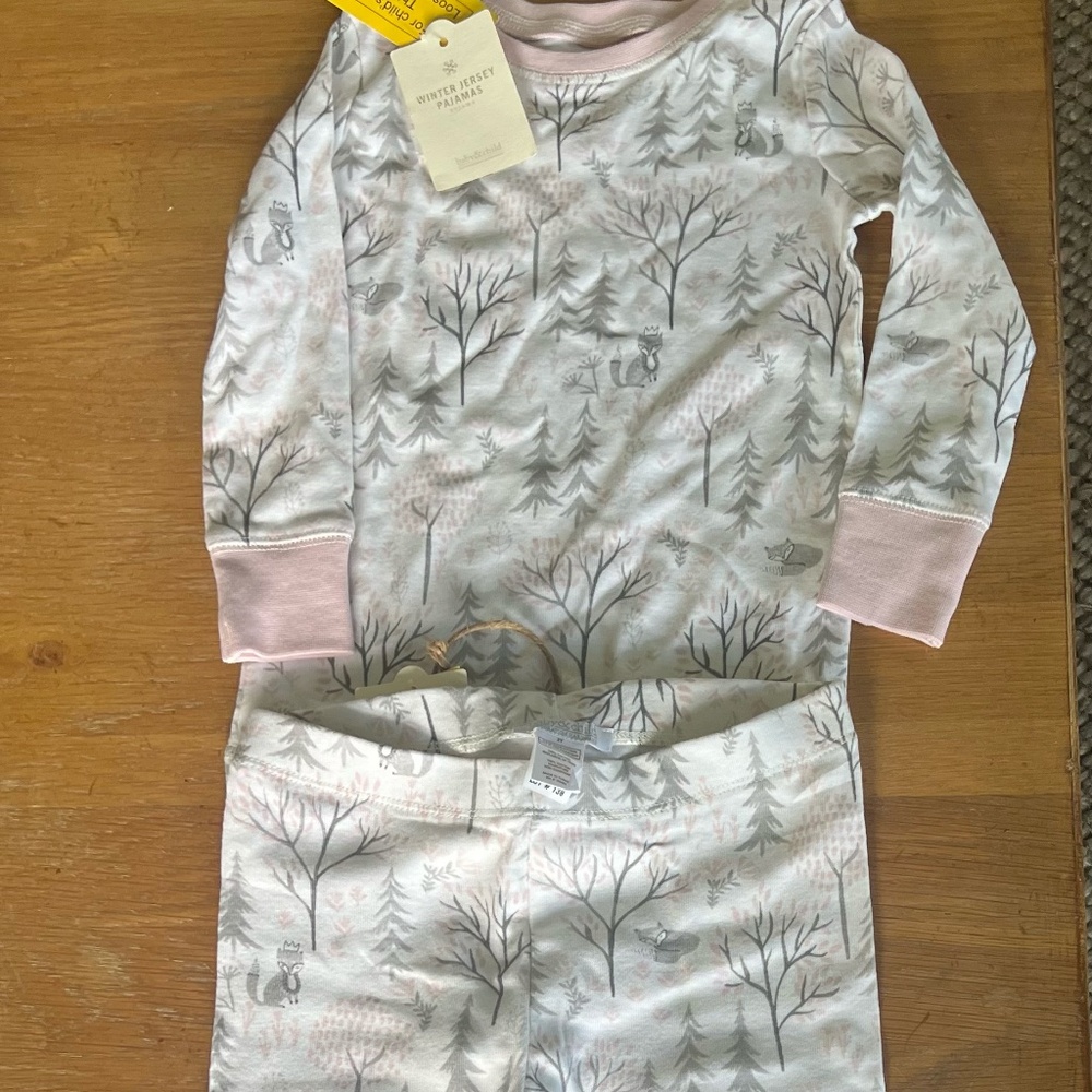 NWT RH Baby & Child  two-piece pajama Size 2 y